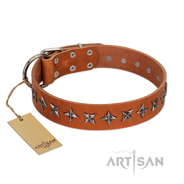 Daily walking dog collar of durable full grain leather with embellishments