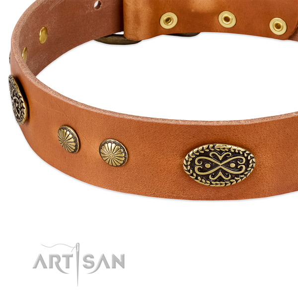 Rust-proof embellishments on leather dog collar for your dog