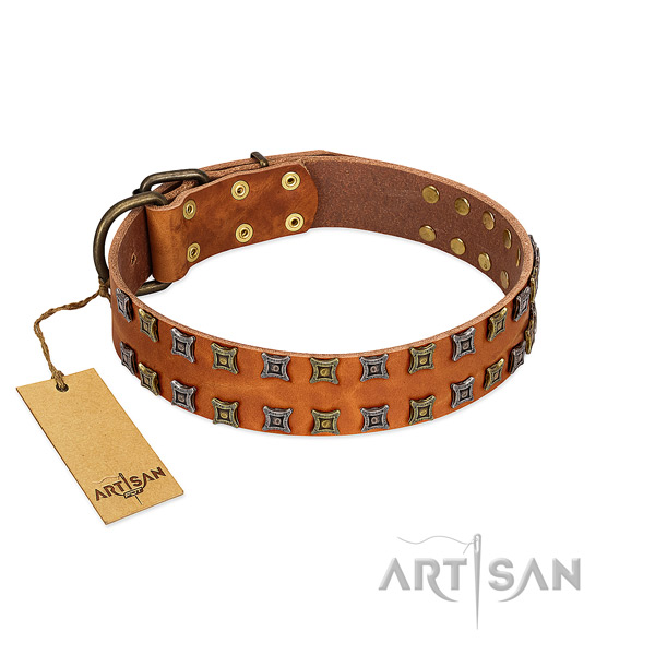 Gentle to touch natural leather dog collar with decorations for your four-legged friend