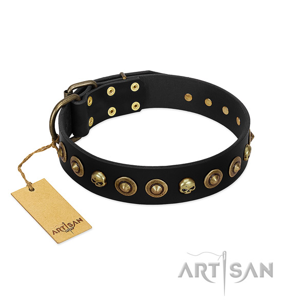 Full grain natural leather collar with trendy decorations for your canine