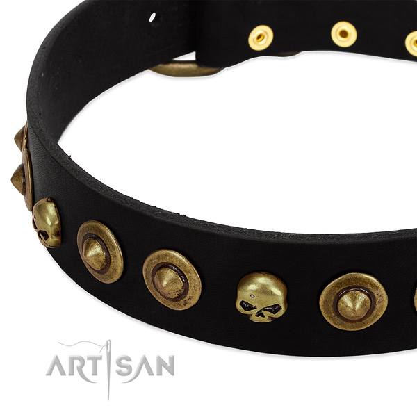 Natural leather dog collar with top notch embellishments