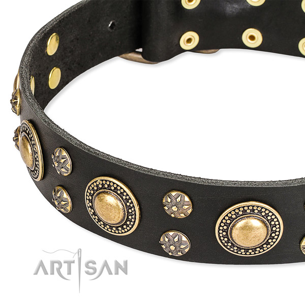 Everyday use adorned dog collar of fine quality genuine leather