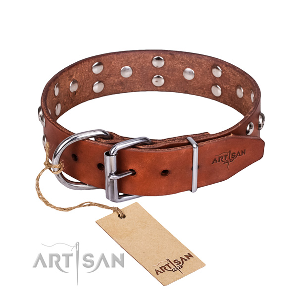 Walking dog collar of fine quality full grain leather with embellishments