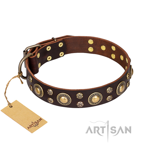 Fancy walking dog collar of fine quality leather with decorations
