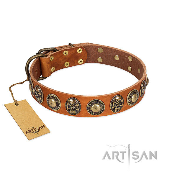 Easy adjustable natural leather dog collar for daily walking your pet