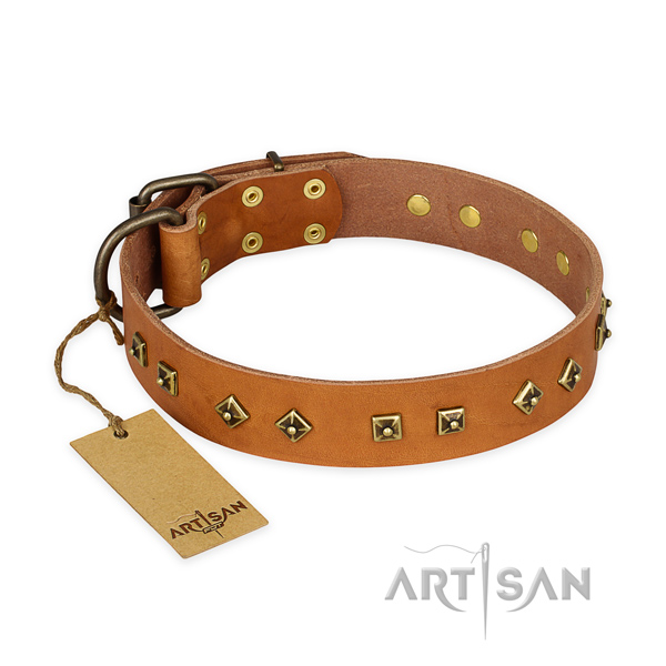 Embellished natural leather dog collar with rust resistant D-ring
