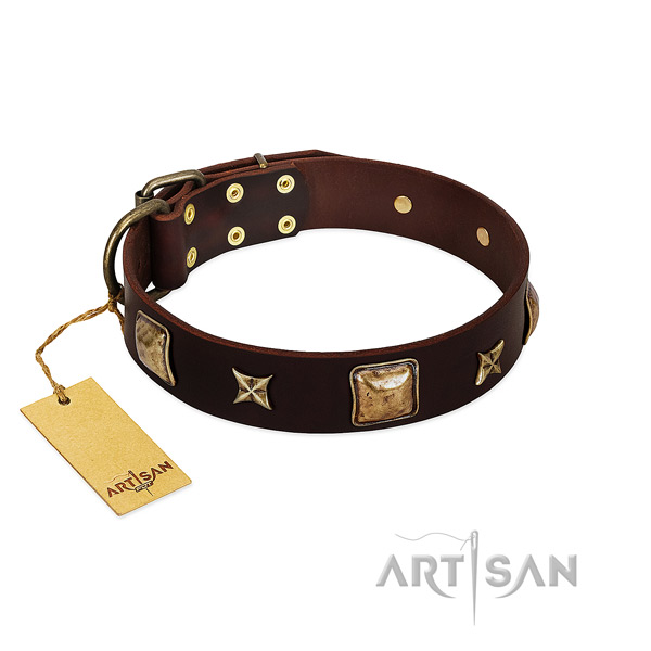 Remarkable genuine leather collar for your dog