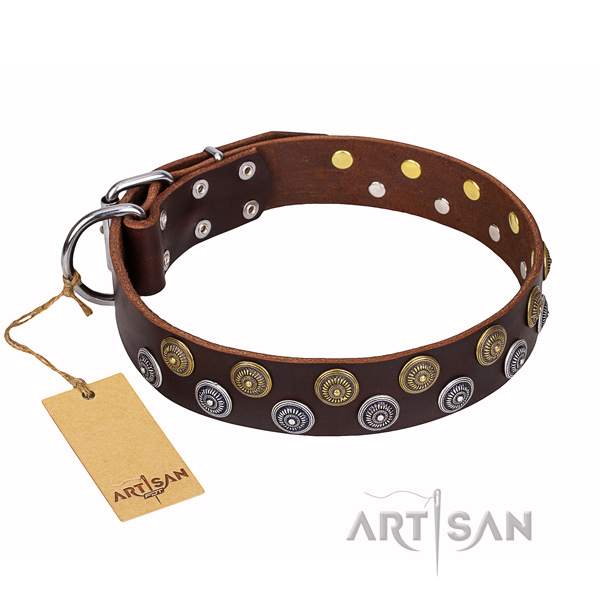 Walking dog collar of durable full grain leather with adornments