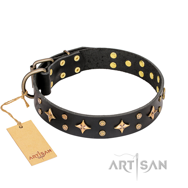 Comfortable wearing dog collar of best quality leather with studs