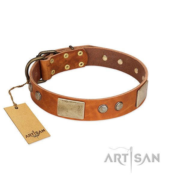 Adjustable full grain genuine leather dog collar for everyday walking your four-legged friend