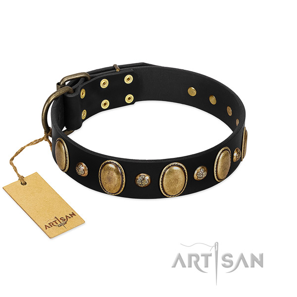 Full grain natural leather dog collar of flexible material with remarkable studs