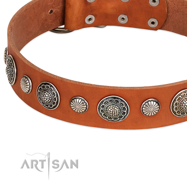 Full grain natural leather collar with reliable buckle for your beautiful four-legged friend