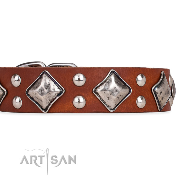 Leather dog collar with stylish design durable studs