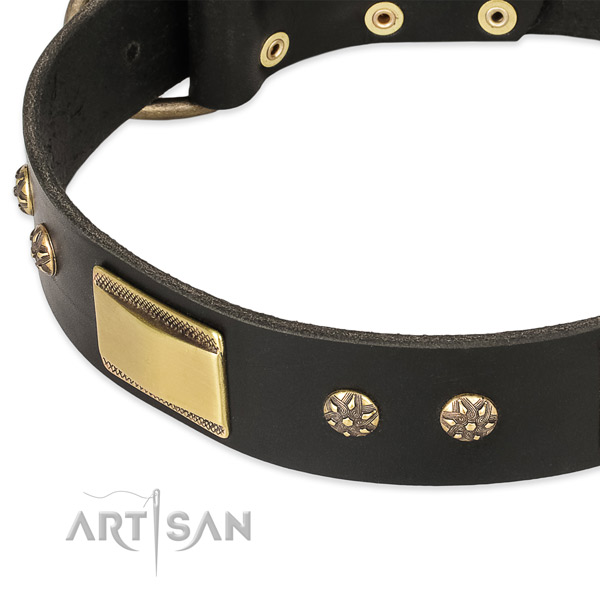 Rust-proof embellishments on leather dog collar for your pet