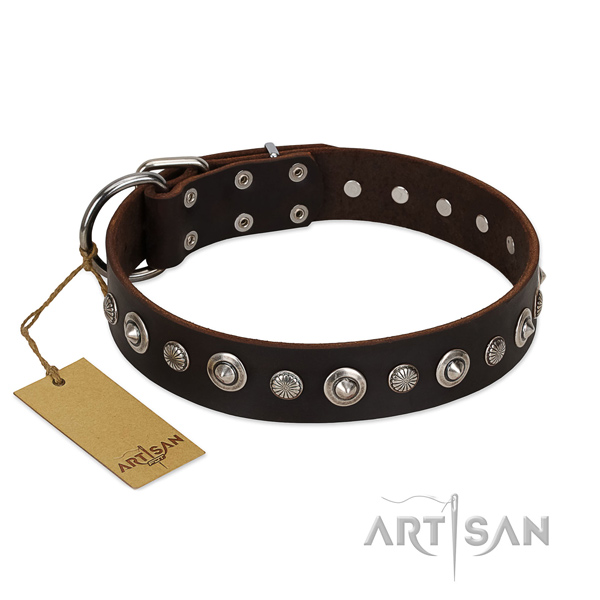 Best quality full grain leather dog collar with awesome studs