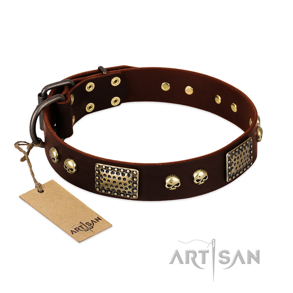 Easy to adjust full grain leather dog collar for daily walking your four-legged friend