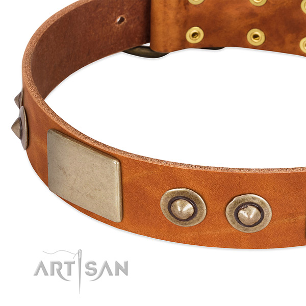 Reliable adornments on leather dog collar for your canine