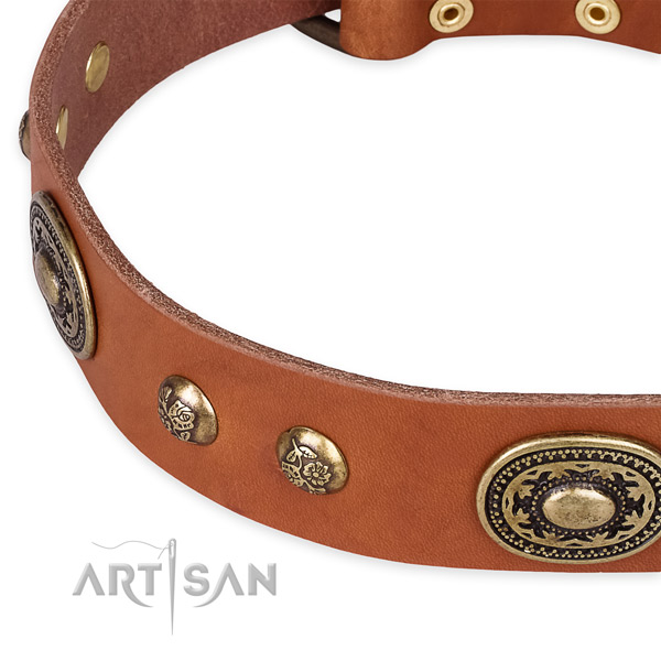 Easy adjustable genuine leather collar for your attractive four-legged friend