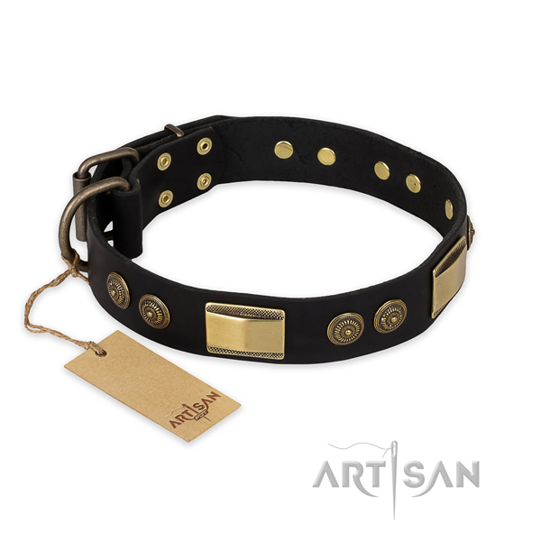 Top notch full grain leather dog collar for everyday walking
