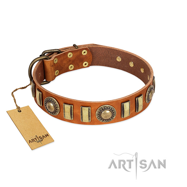 Stunning full grain natural leather dog collar with durable D-ring
