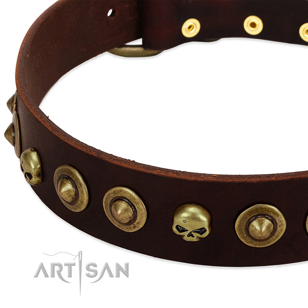 Top notch studs on natural leather collar for your four-legged friend