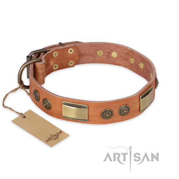 Extraordinary full grain leather dog collar for basic training