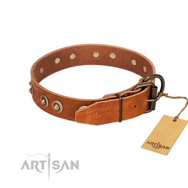 Rust resistant adornments on genuine leather dog collar for your canine