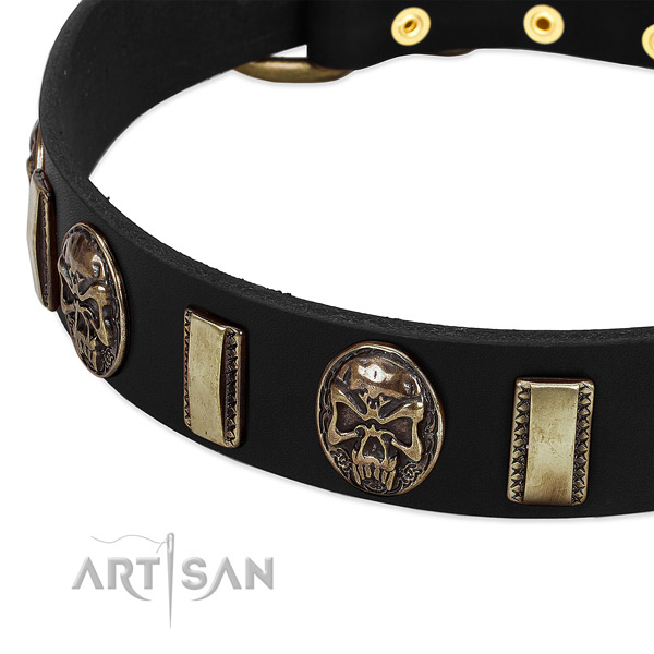 Rust-proof embellishments on leather dog collar for your doggie