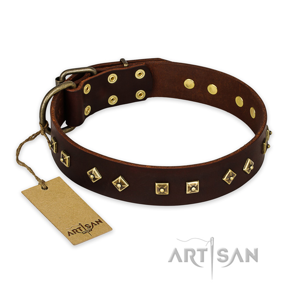 Unusual genuine leather dog collar with corrosion resistant buckle