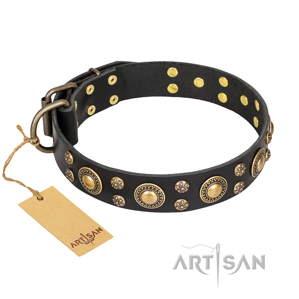 Handy use dog collar of top quality leather with embellishments