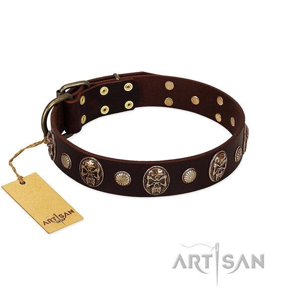 Significant full grain leather dog collar for daily walking