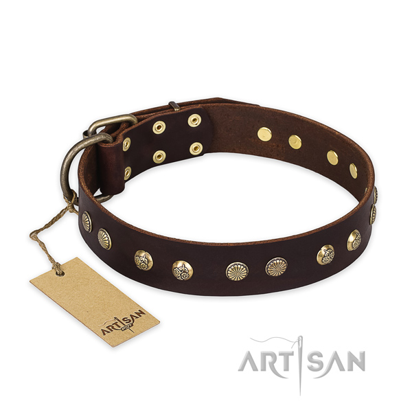 Impressive leather dog collar with corrosion proof D-ring