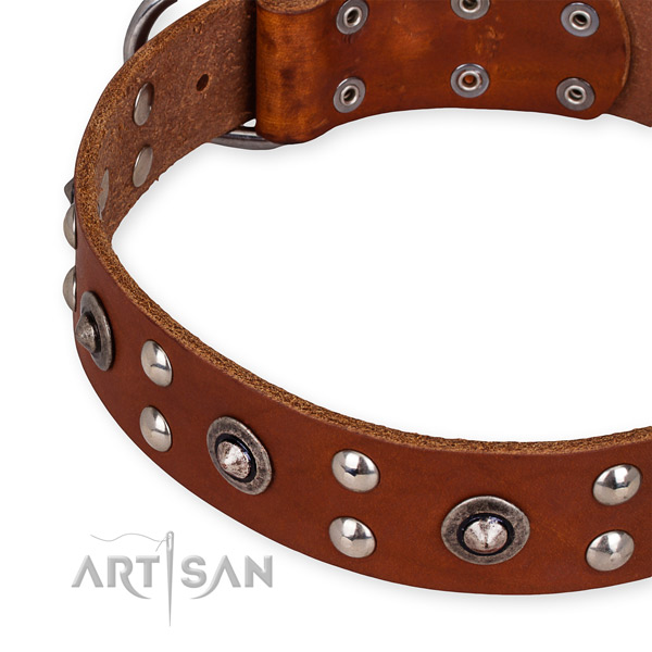 Genuine leather collar with strong D-ring for your handsome doggie
