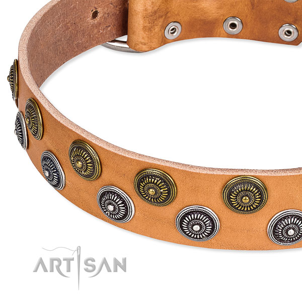 Basic training embellished dog collar of best quality full grain genuine leather
