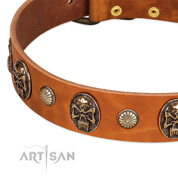 Rust resistant buckle on leather dog collar for your doggie