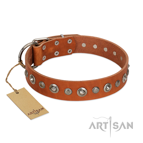 Quality natural leather dog collar with inimitable adornments