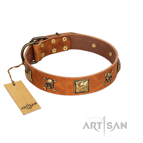 Top notch full grain natural leather dog collar with durable decorations
