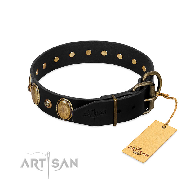 Corrosion proof hardware on full grain natural leather collar for daily walking your four-legged friend