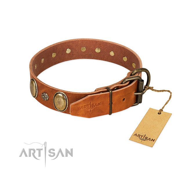 Stylish walking top notch full grain natural leather dog collar