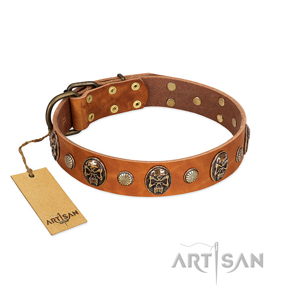 Exquisite natural genuine leather dog collar for everyday walking