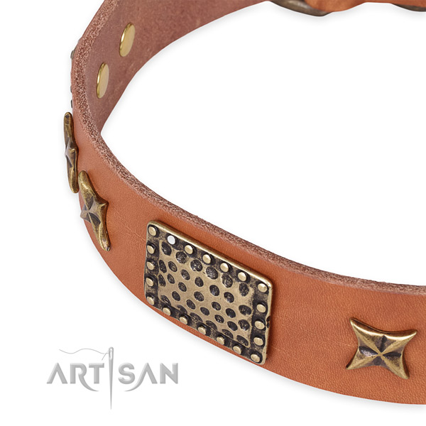 Full grain leather collar with reliable traditional buckle for your lovely pet