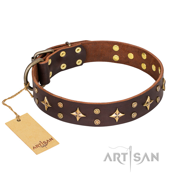 Walking dog collar of finest quality full grain genuine leather with embellishments