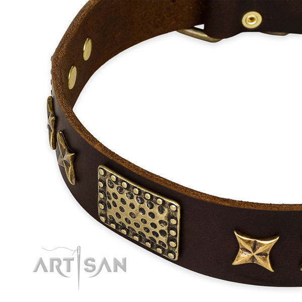 Leather collar with corrosion resistant fittings for your lovely four-legged friend