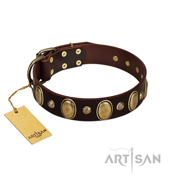 Genuine leather dog collar of high quality material with trendy studs