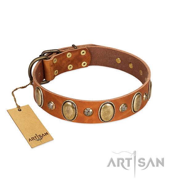 Leather dog collar of soft material with amazing adornments