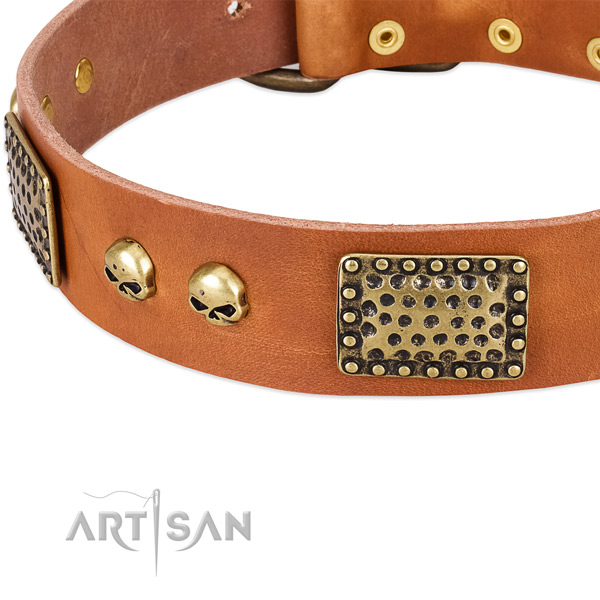Durable embellishments on genuine leather dog collar for your doggie