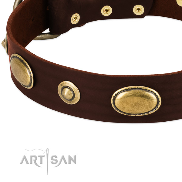 Rust-proof buckle on natural leather dog collar for your four-legged friend