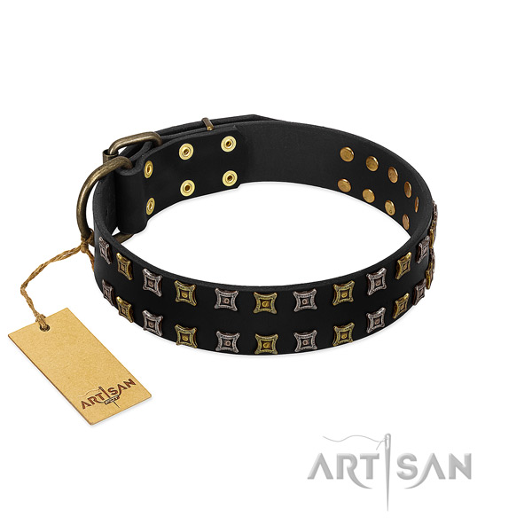 High quality genuine leather dog collar with adornments for your doggie