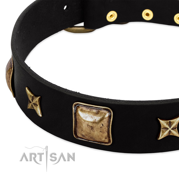 Full grain natural leather dog collar with fashionable embellishments