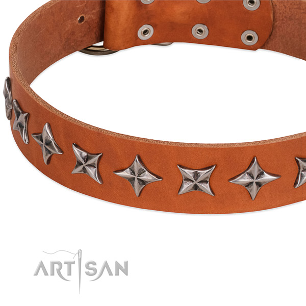 Walking decorated dog collar of strong leather